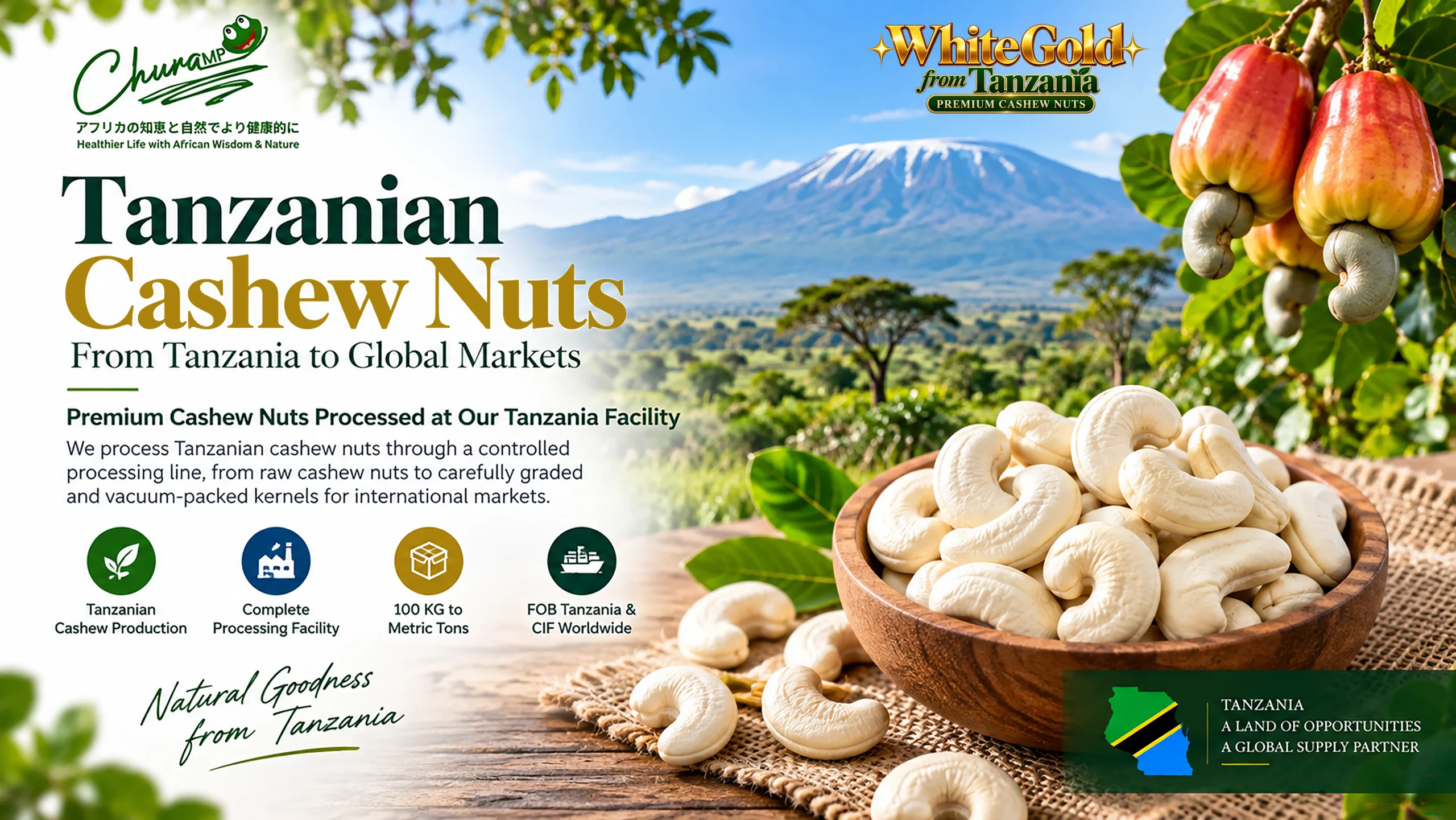 Cashews Nuts 01