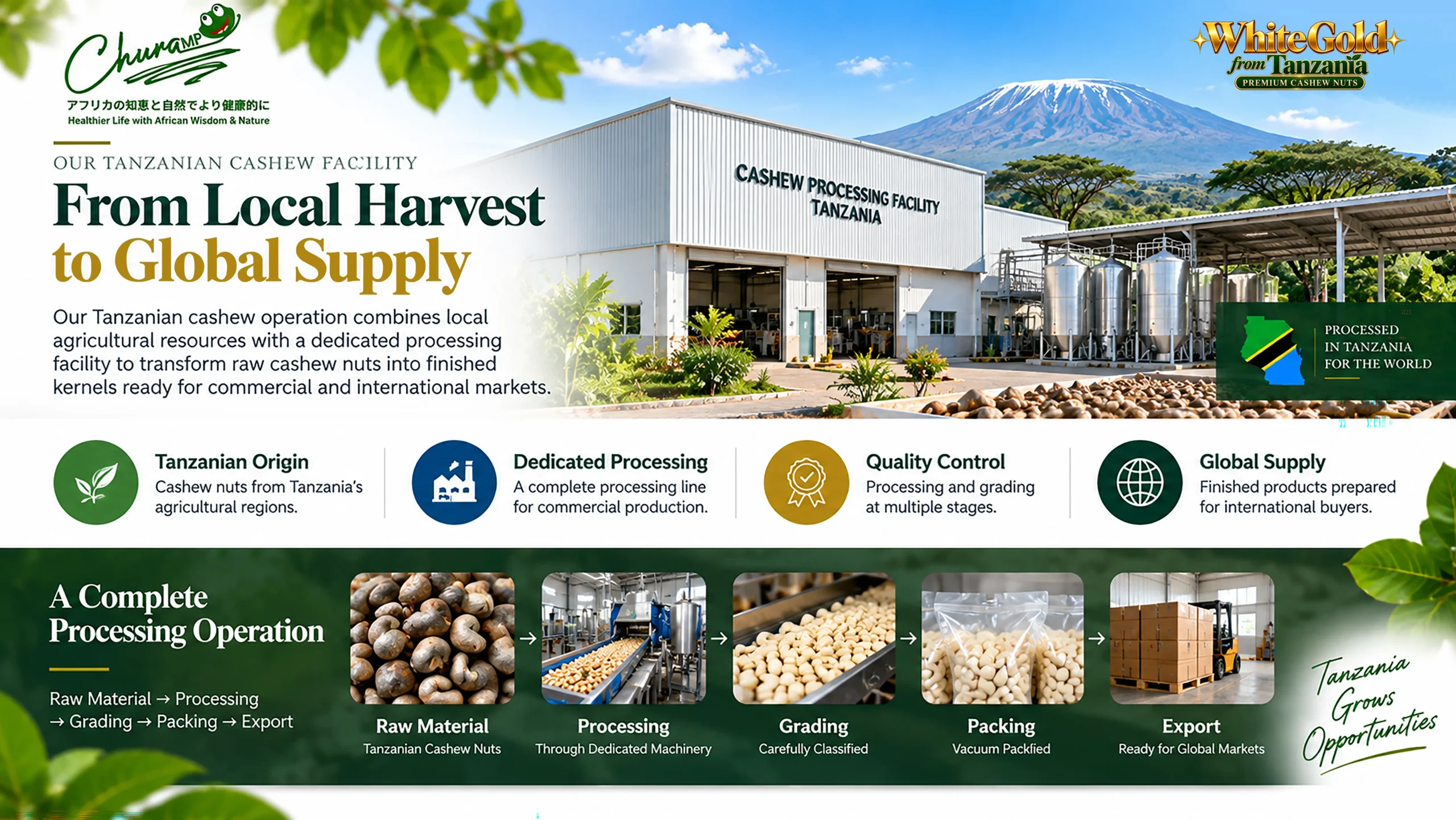 Cashews Nuts 02